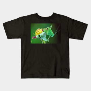 Young Bush-Cricket 2 Kids T-Shirt